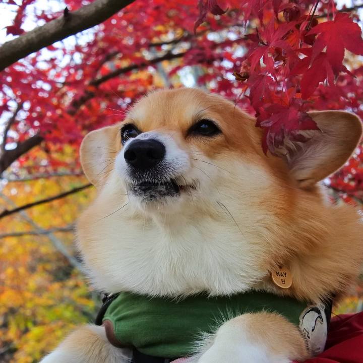 Fe54e826 8238 46da 9793 363a5a32f17b 1637492125764