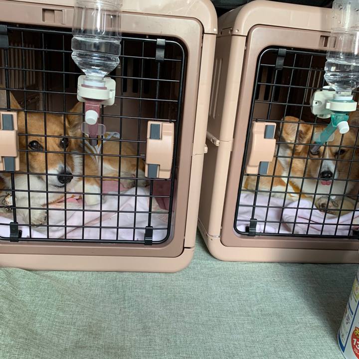 Fe54e9b8 db16 46f6 99fe 9af791f65866 1583397965505