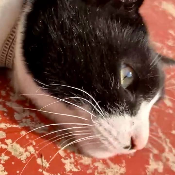 Fe5517e7 6d86 4f6d b0ac 226f165fe9a2 1737426134576