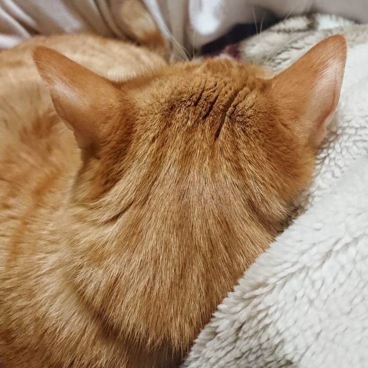 Fe555d4e 8462 49b5 95ed 9497e4658ecf 1646830087012