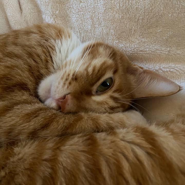 Fe557817 b4d3 4196 9a0d 7f65b924691e 1588833995518