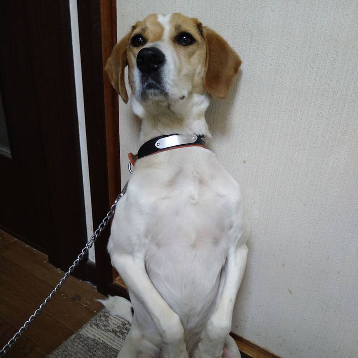 Fe558549 1d0e 40c6 80f8 f02d52e8983d 1622257269752