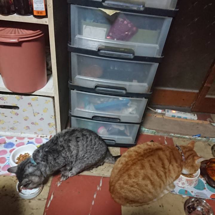 Fe55e508 c04f 4267 8a4c 039272bf1e2f 1574724564684