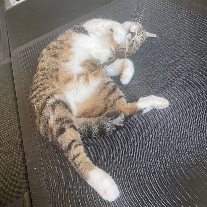 Fe563e8e 343f 41fb 86da 2ebe5ae581db 1592037342427