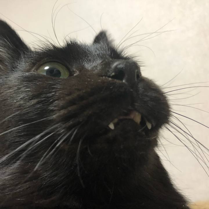 Fe56631b df1d 4ce3 8e65 dfd85f5744a0 1613206679893