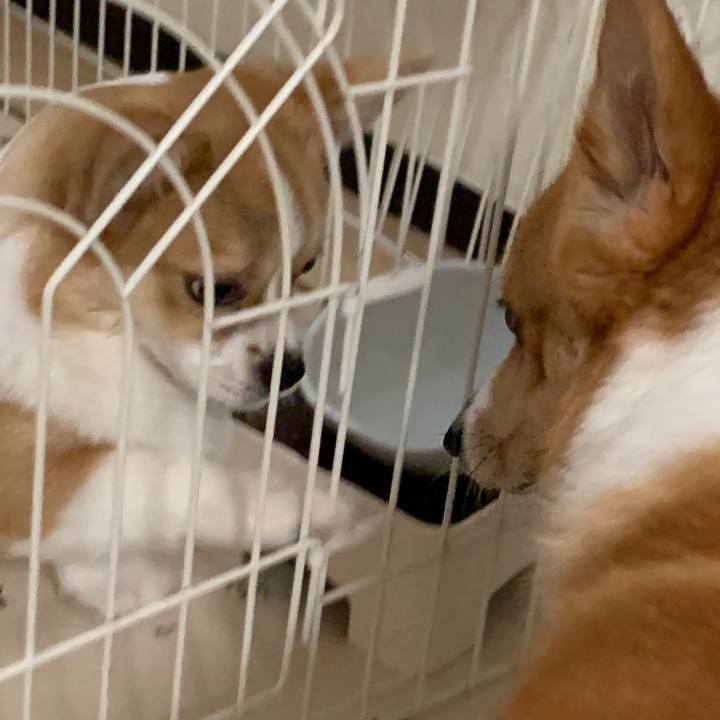 Fe566682 03b9 47a4 b540 dc773ef88674 1563791611617