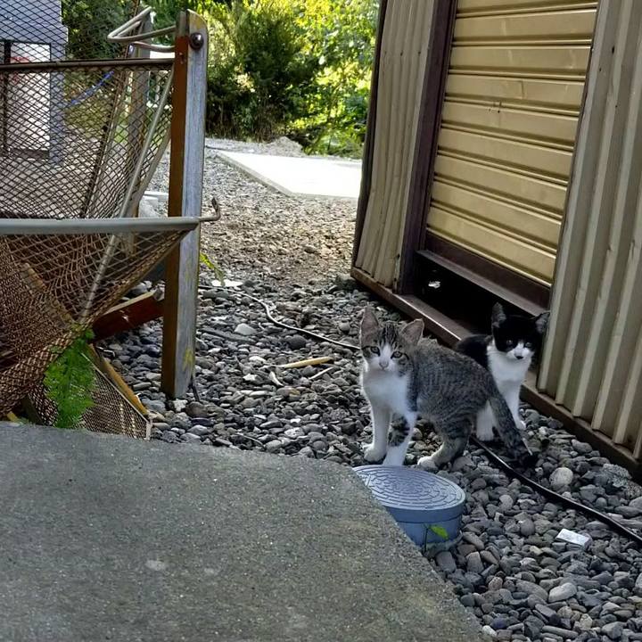 Fe568582 48b7 4e6f b330 02bd18a5770f 1600182246658