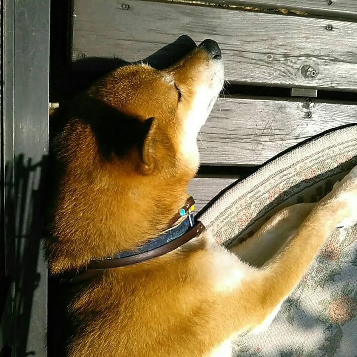 Fe56d827 0722 4350 95da 72023d727111 1568170963812