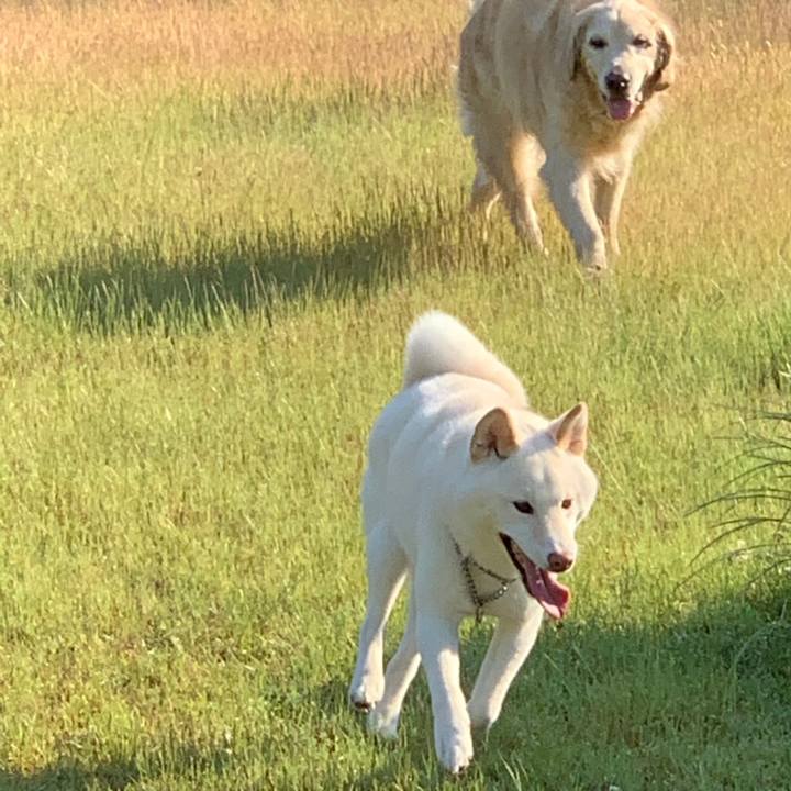 Fe570f5f 5706 440d b69a 2788628dbb0d 1558742699167