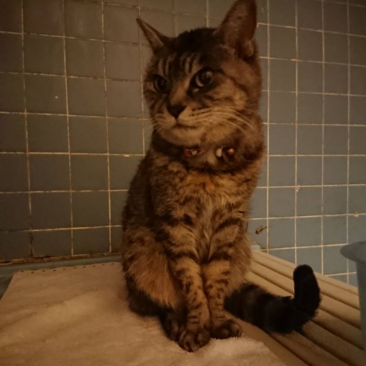 Fe5716cd 4833 4bce 8f1f 5e3f096137d2 1578561558812