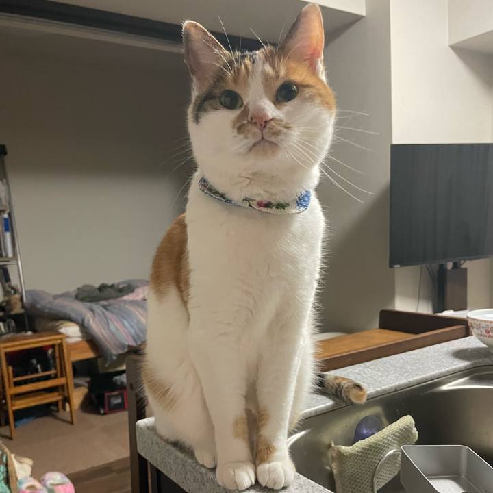 Fe572d62 975d 4bd1 9193 219de308b17d 1704379753060