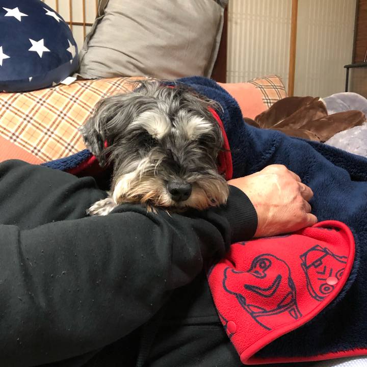 Fe572fdd b1a3 4490 9331 c83c4bc3aded 1610636365910