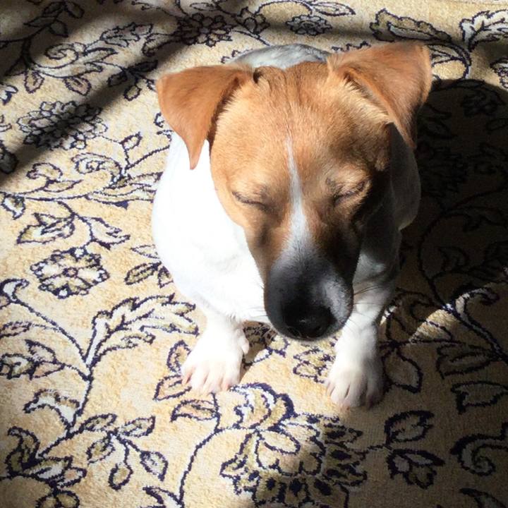 Fe573897 37ab 4371 9390 0f158384dfb7 1546318307642