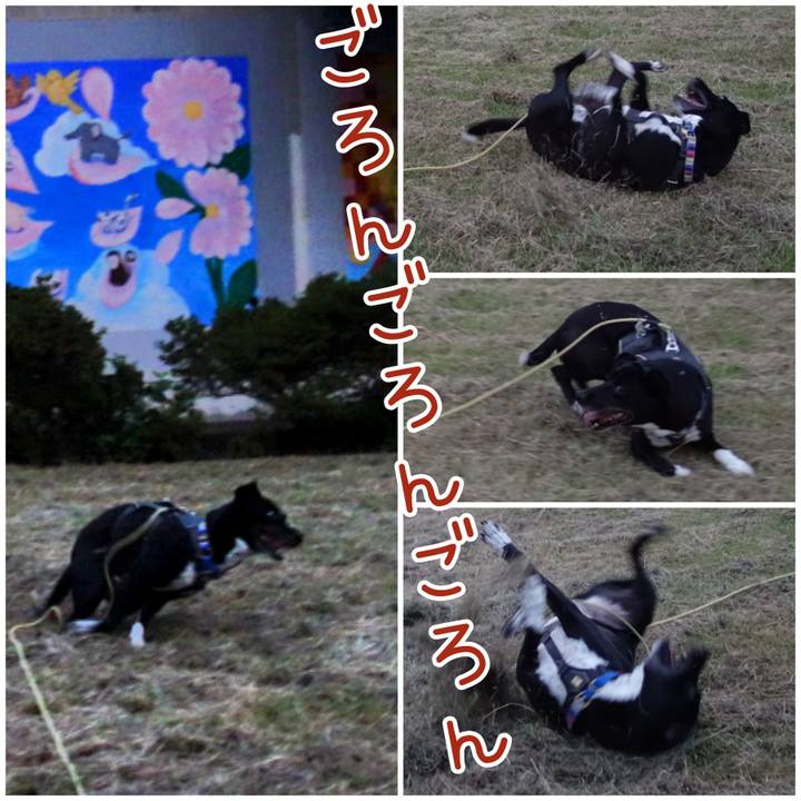 Fe573a7c 1469 4170 95e0 1652ff4fc04a 1656759446128