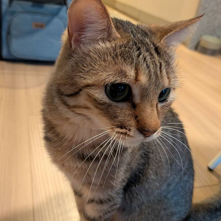 Fe574035 b8a6 4159 b446 6dcf19f062c3 1772767951149