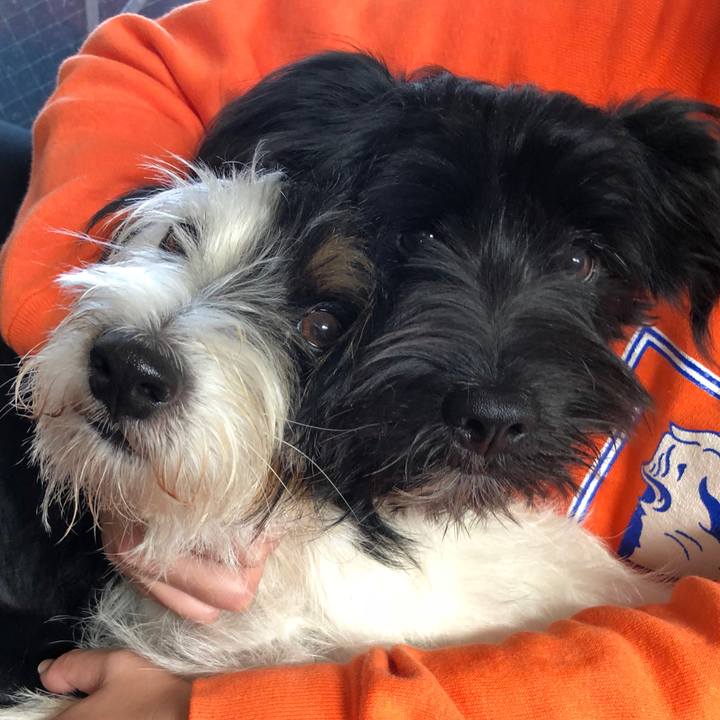 Fe5748e0 73b9 4649 944c 90da776b1159 1540767701894