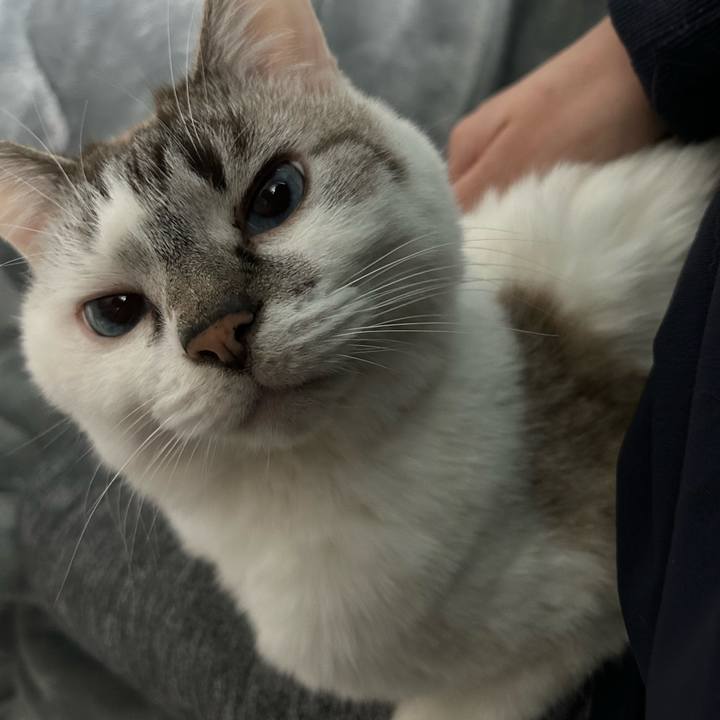 Fe575f22 9225 4064 993f 1c8722c9a200 1742103380793