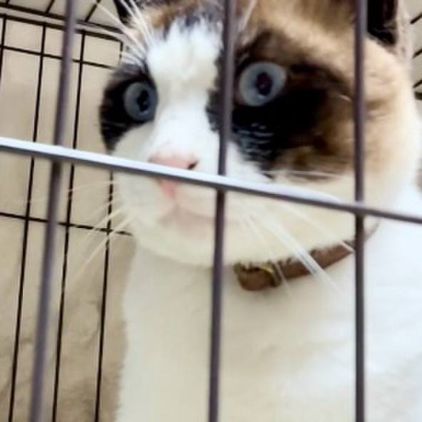 Fe5760db 8fff 4f5c 990f 0cbd32c891e8 1749990802679