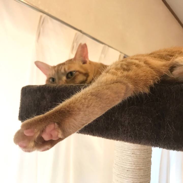 Fe57626e 5446 465d 977c 44a0cf07e181 1597536968401