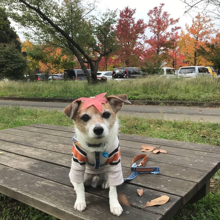 Fe57991b 1c67 491c 845e 1f1451613f06 1635726610618