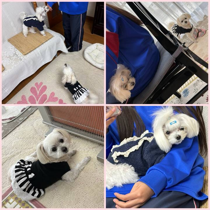 Fe57c36d 8c70 4bf3 9d55 4dad6ab037ee 1743064931516