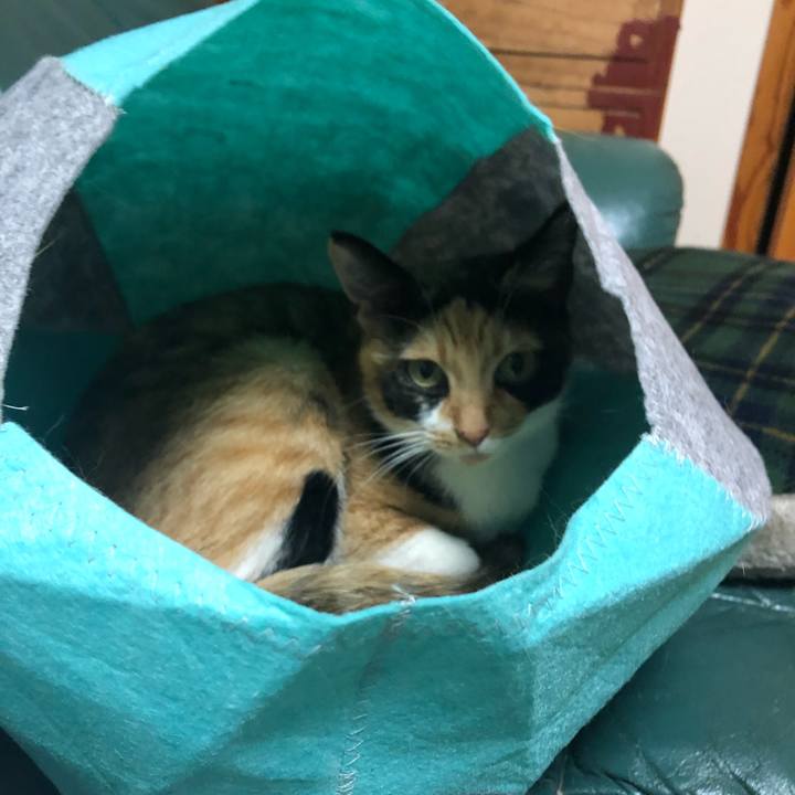 Fe57d067 9de7 46e9 94b1 45806bbcd42e 1570618869028