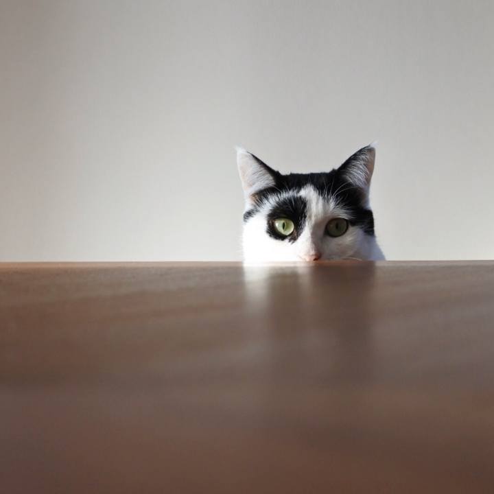 Fe57e186 d69d 477b 9f01 4ce003b7396a 1512267778720