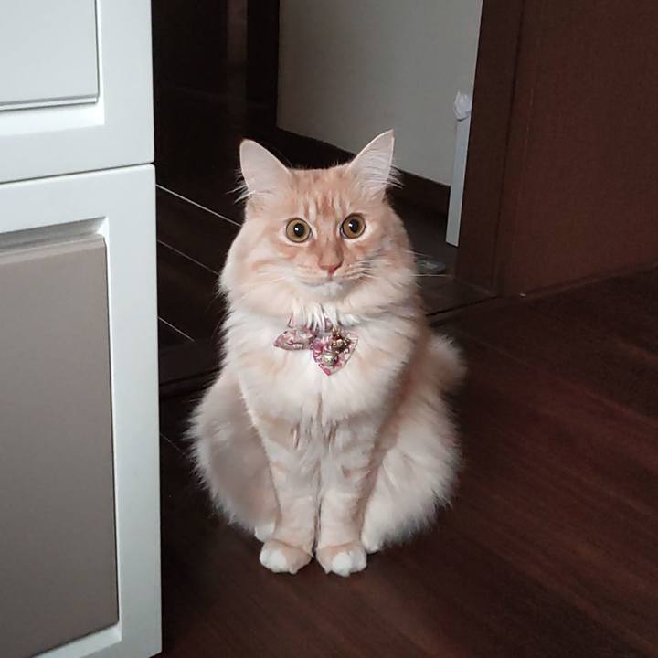 Fe57e8db ca54 41b6 8598 9cd213ba2b74 1668466832706