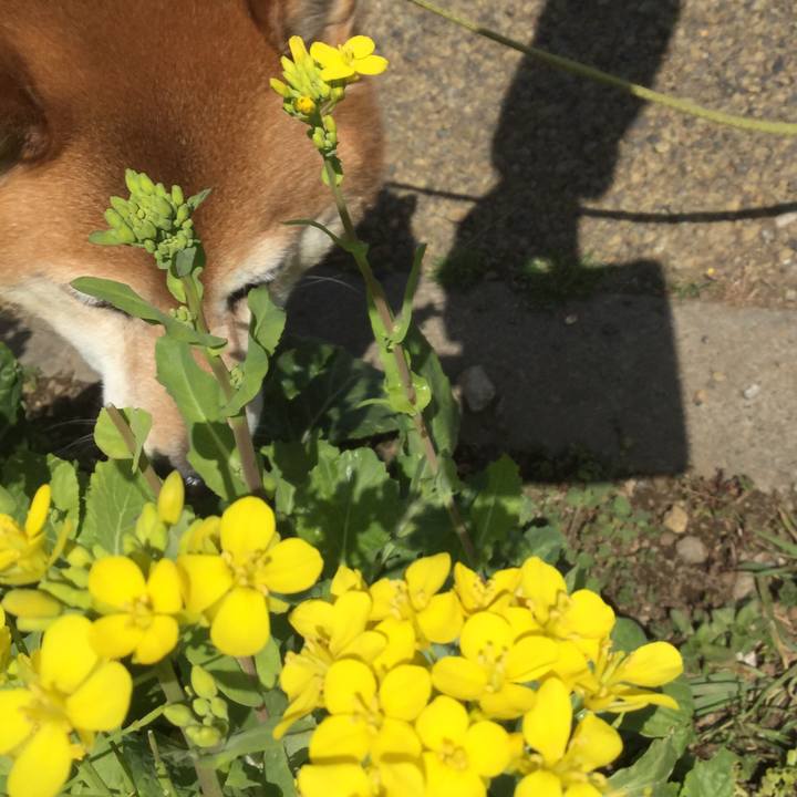 Fe57fb10 493b 4b02 a9f3 4bba28312111 1615443455370