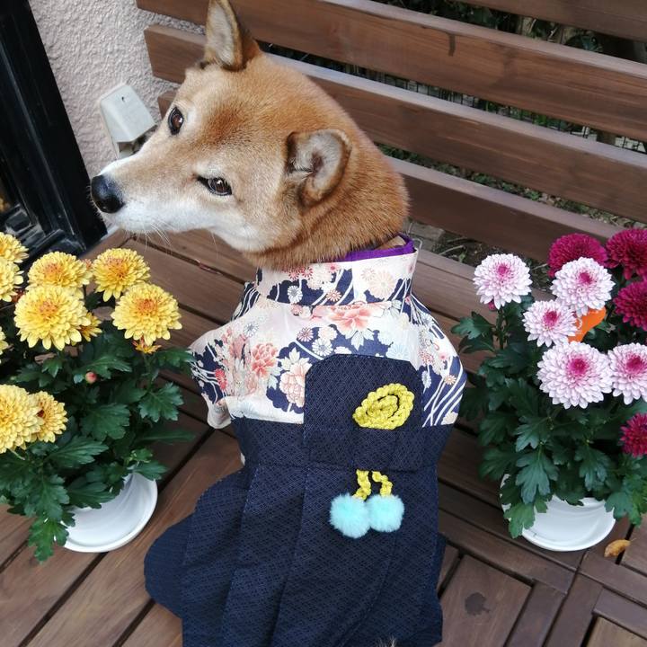 Fe5804e7 6050 4900 9f56 0a9c7fa8f2ee 1605004661656