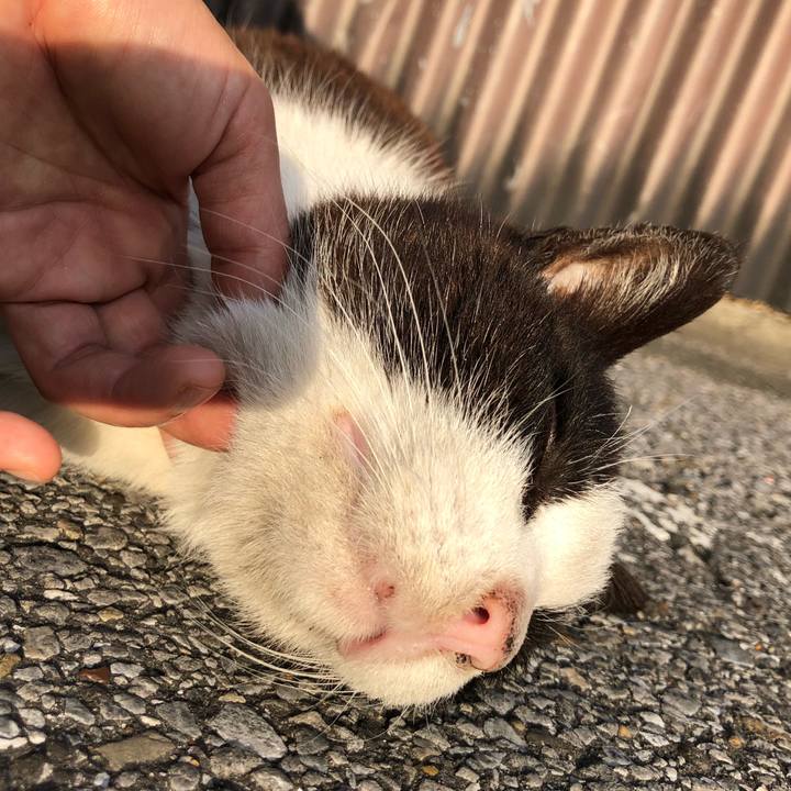 Fe580b82 82a7 4c21 b25e 9607d3a24806 1554080070187