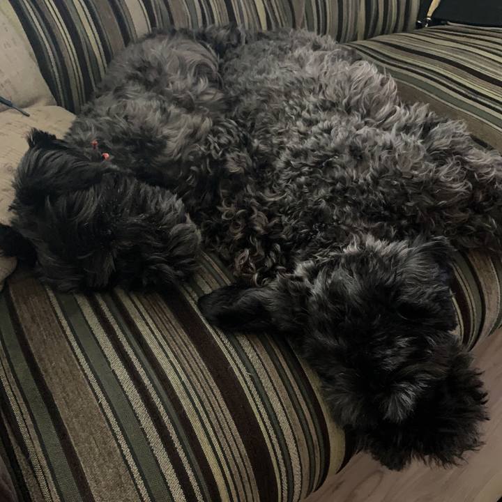 Fe58667f a3e2 44d8 b8dc e0066b6c0562 1596434511184