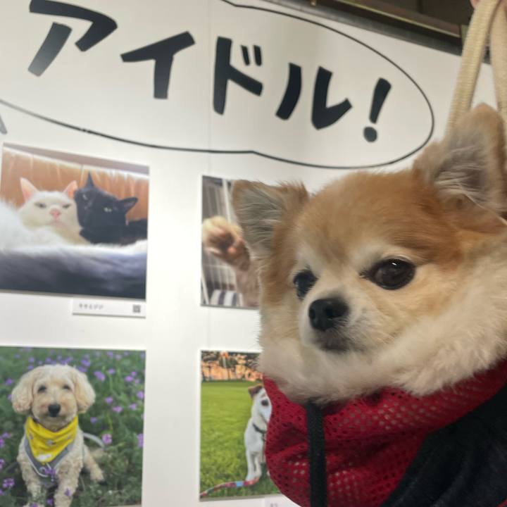 Fe58b2cc b00b 4b71 8b46 69e50a0af624 1761373969944