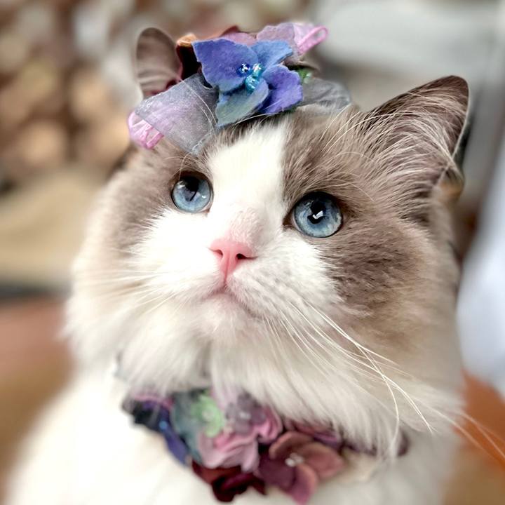 Fe58bdc3 a8d8 40e8 991c e0adf370f3c2 1653908314565