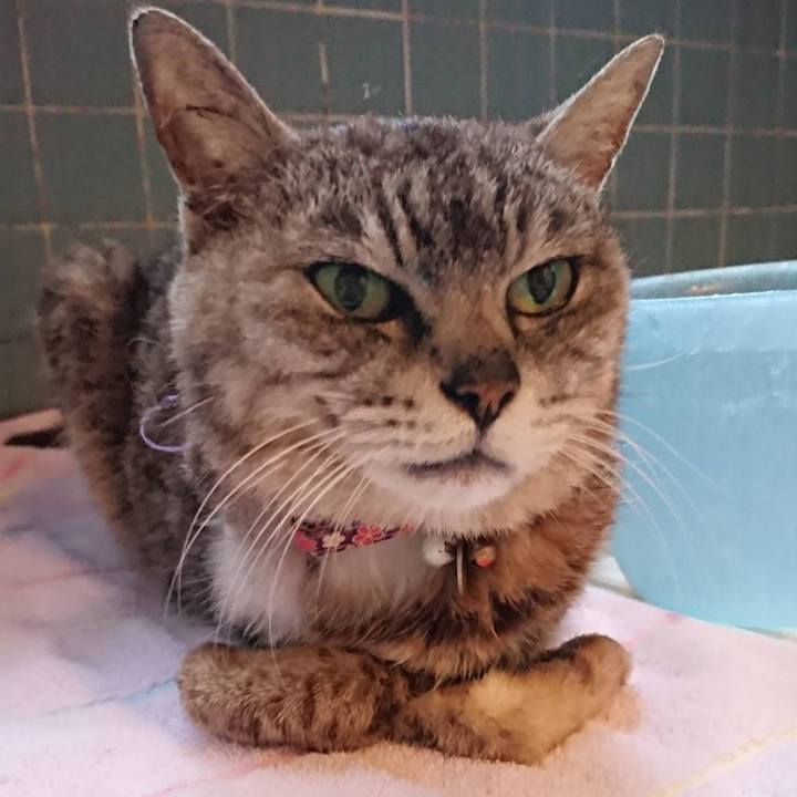 Fe58e45b c3a6 4dd9 b3d7 d0e082b6cd1d 1693656930046