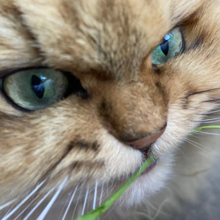 Fe58ff67 d9cb 4a49 b9e9 39025af09b82 1610157047222