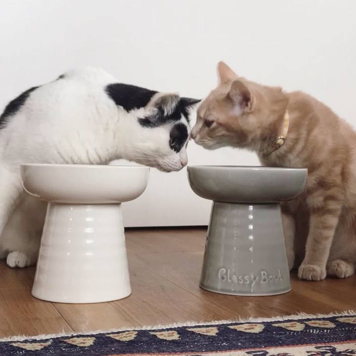 Fe5919e7 0125 49bd b824 ee3d717e2442 1550114688051