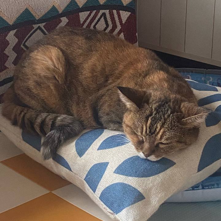 Fe592dcf 7a5b 4c50 94e6 344662ae870d 1727053487349