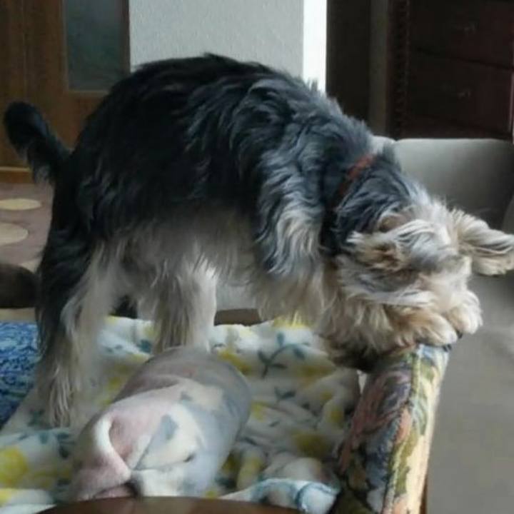 Fe594c3e 8ac1 43aa a11b 2a4ea5abd4da 1553396529406