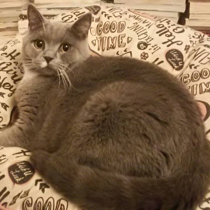 Fe595720 6391 4ac2 b355 7fba54f645c6 1546380927826