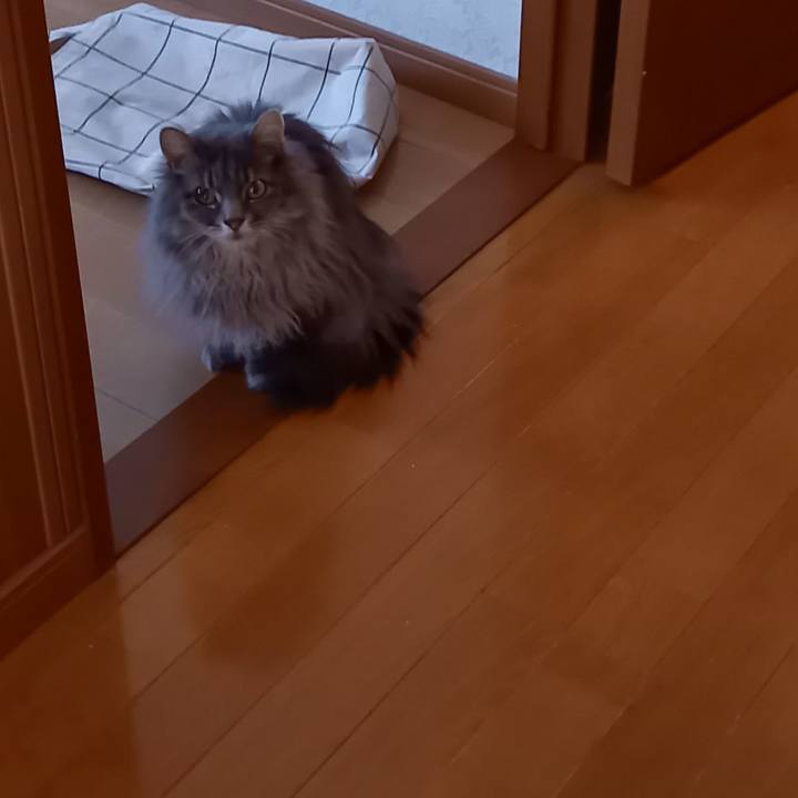 Fe596a3f 35c2 4614 9e25 b71c0b98598a 1680082692157