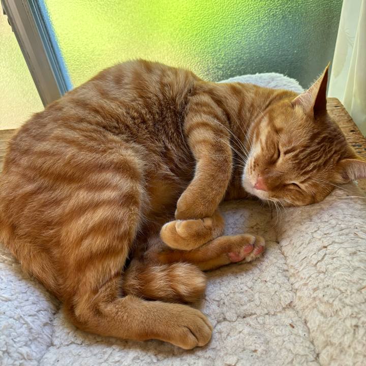 Fe596d4a 3066 4226 92e7 d662c8943ad4 1746143076366