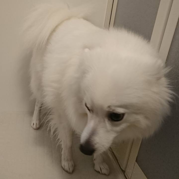 Fe597021 07d0 47bf bb88 1f12a7def320 1544769190227