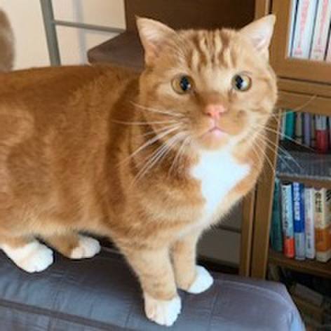 Fe5979f6 9e69 4340 a4c7 92388b997513 1556712078610