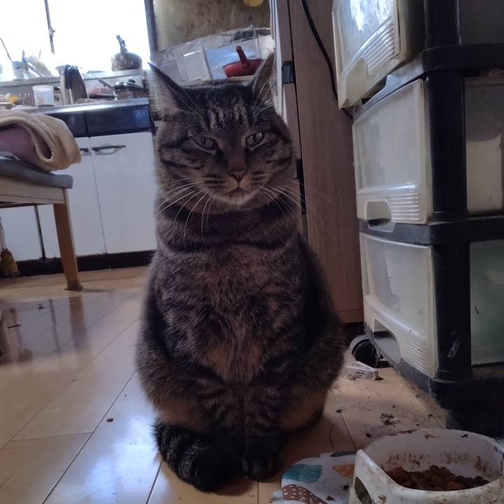 Fe59a458 f05b 4198 bcb5 2fa43431110e 1667033592643