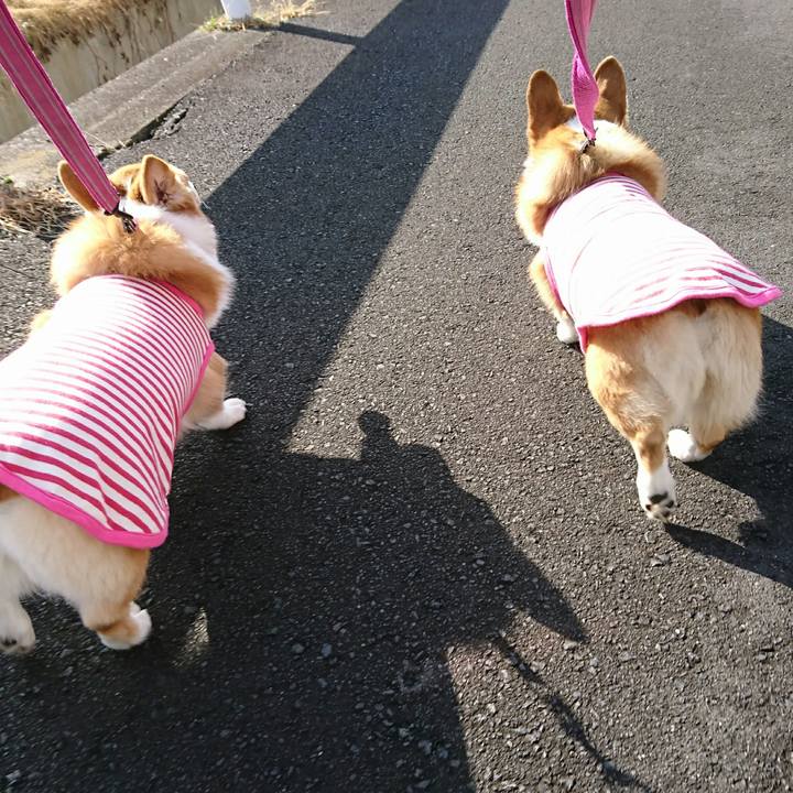 Fe59ae7d 08d0 4ca7 b4c1 9da10700d9e9 1550624059926