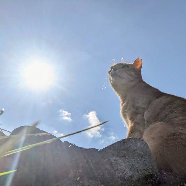 Fe59b3e3 968c 40f1 afe3 ca4a64071b91 1761881484913