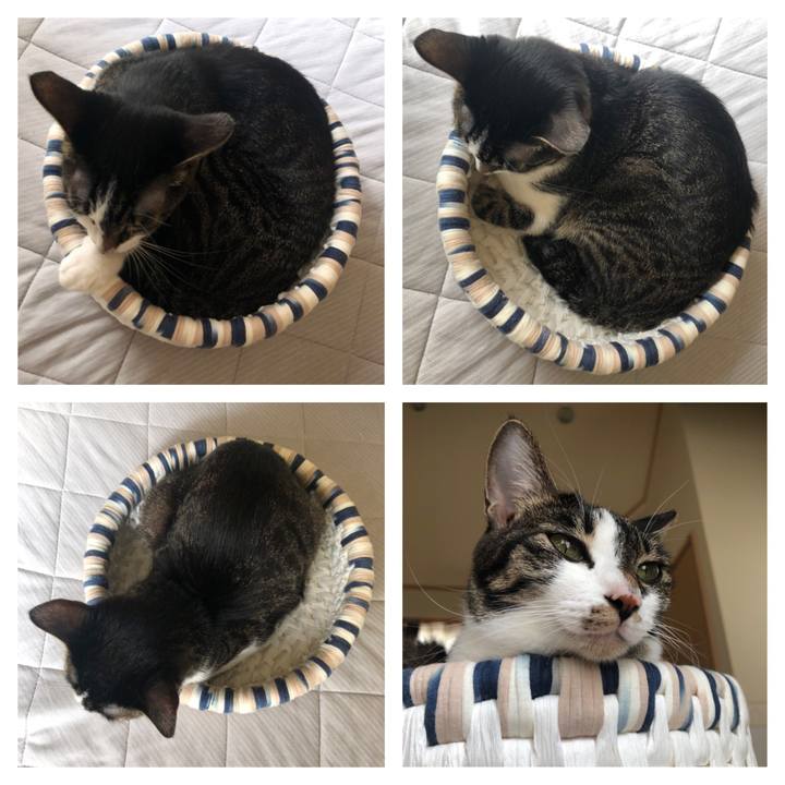 Fe59e461 fa9f 461f 9b1d bf5fe49b5903 1570277057977