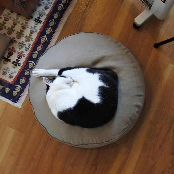 Fe59e740 a46b 43e9 8a0c 8a2107fccb32 1515134291408