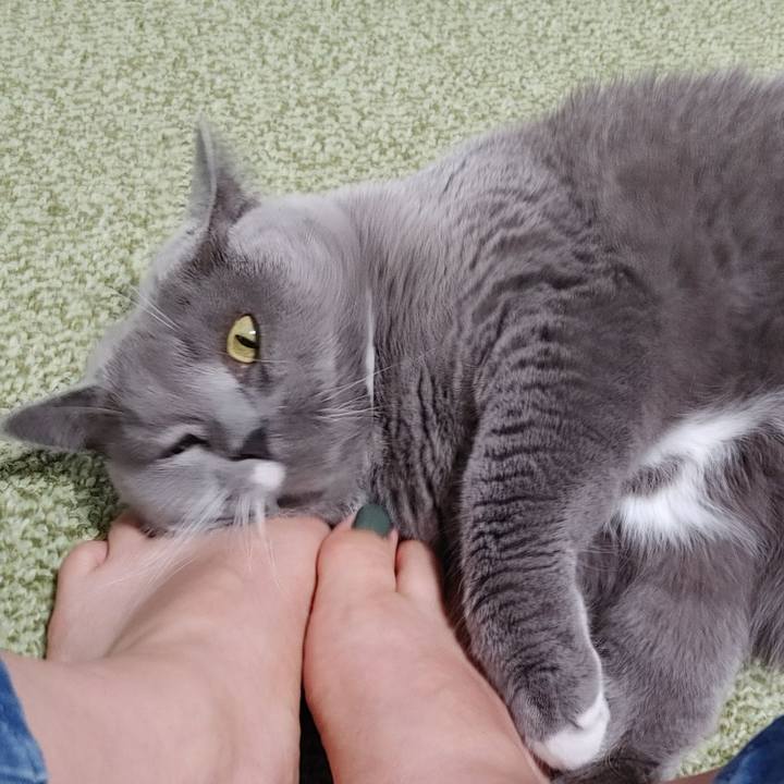 Fe59eeb6 591c 4c18 a51b cd766695c87f 1660899689715